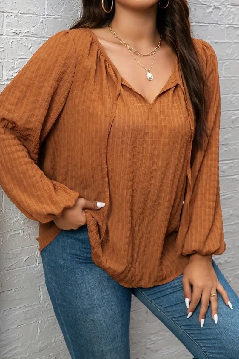 Plus-Size-Elegant-Blouse