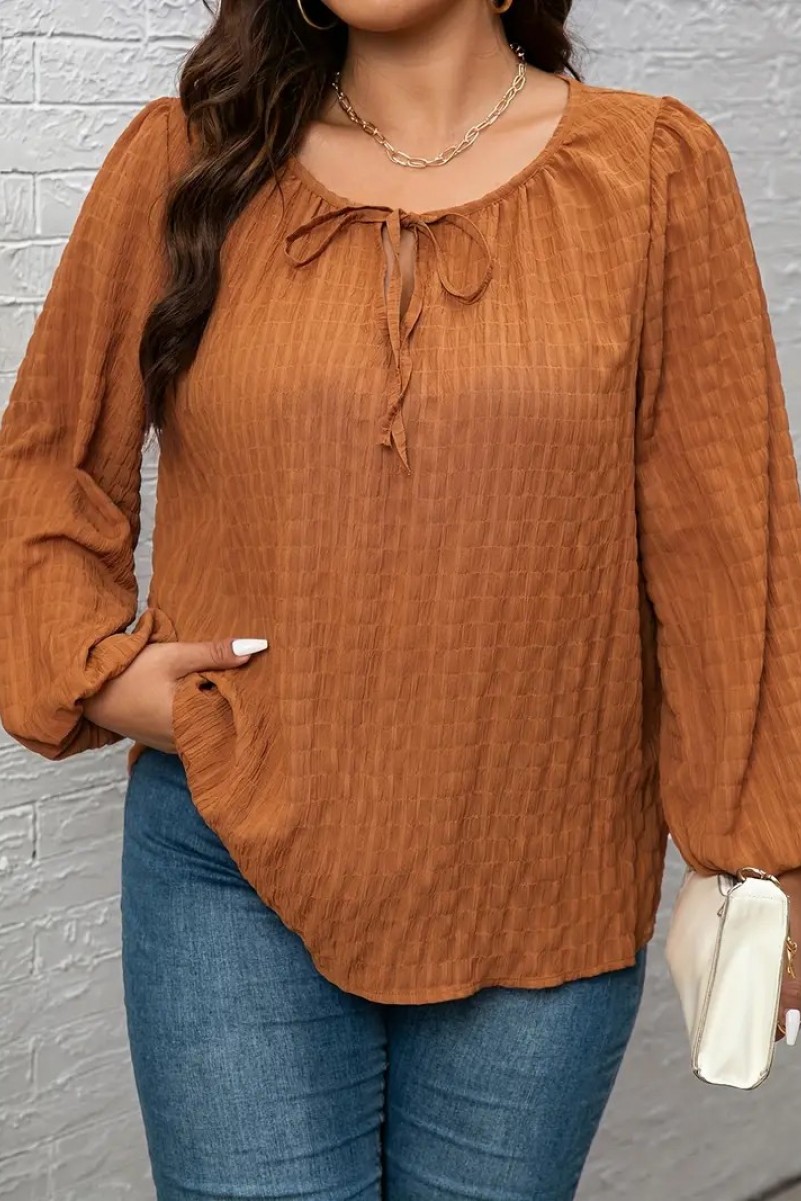 Plus-Size-Elegant-Blouse