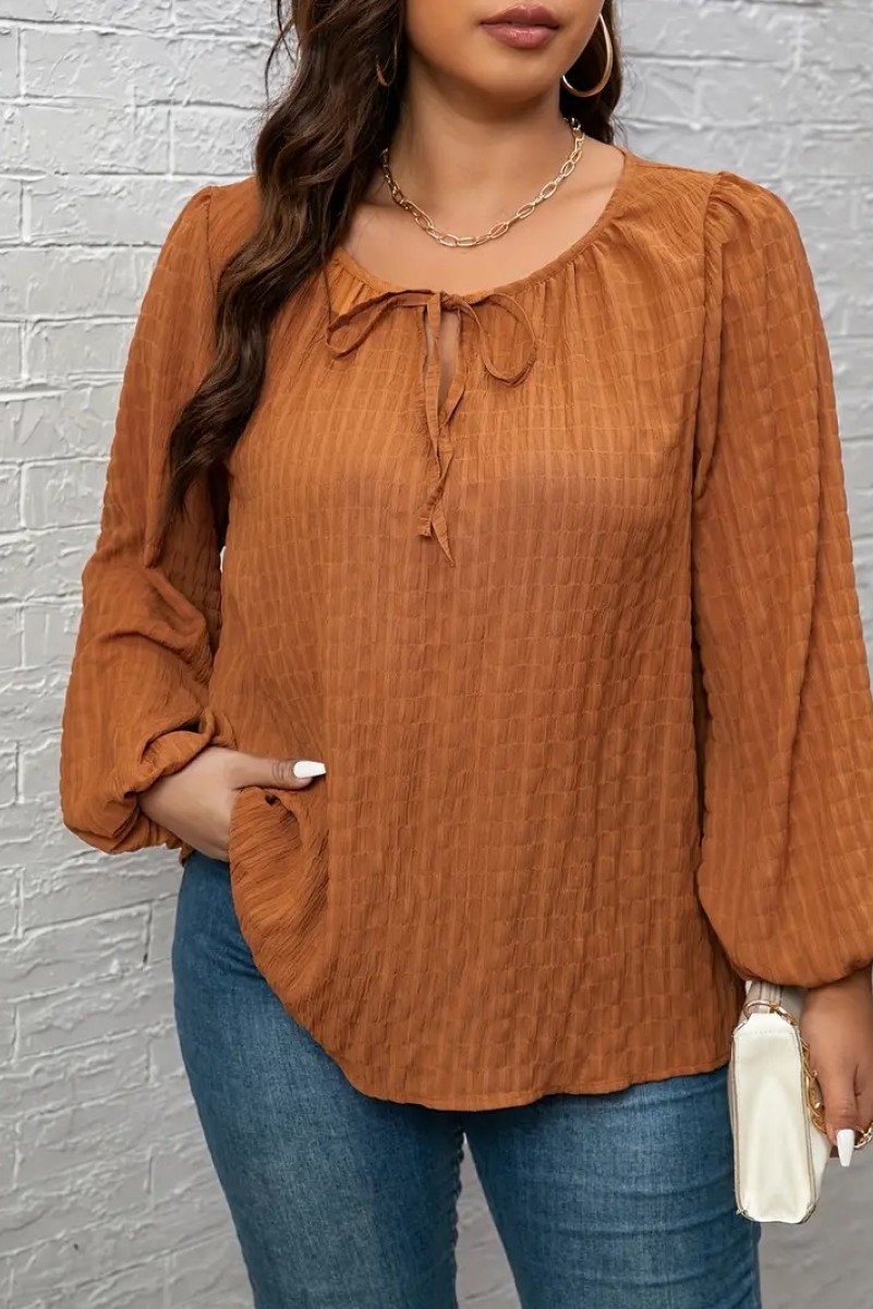 Plus-Size-Elegant-Blouse