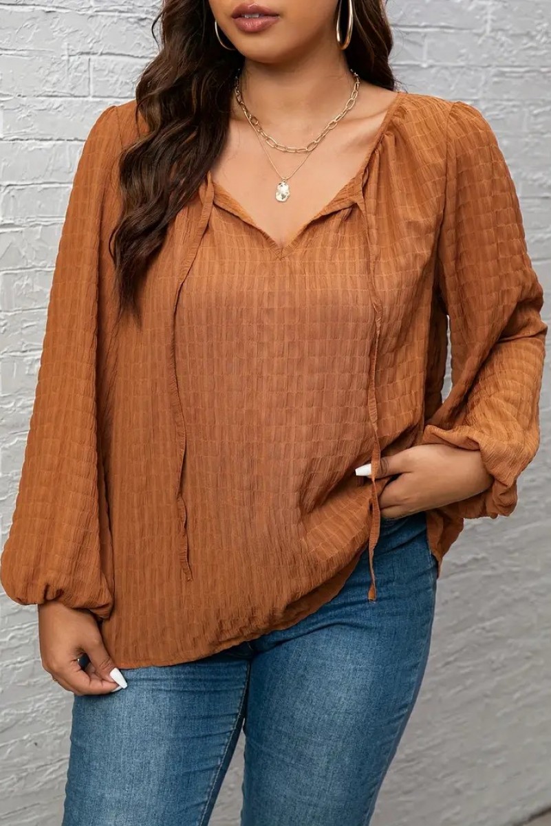 Plus-Size-Elegant-Blouse